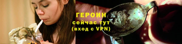 сатива Беломорск