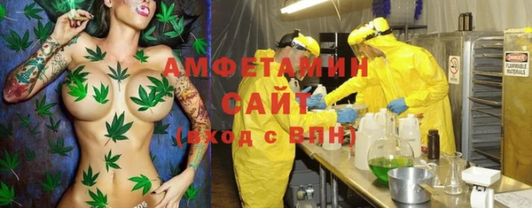 сатива Беломорск
