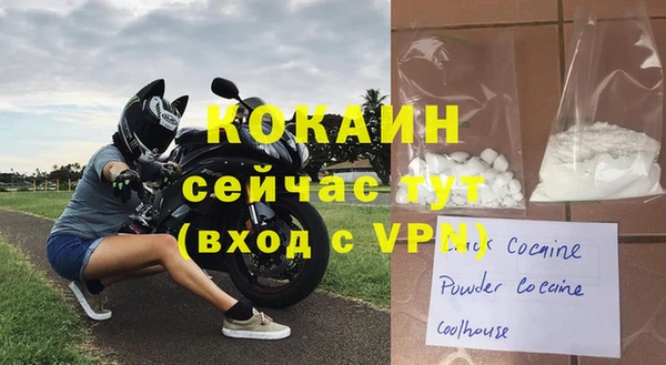сатива Беломорск