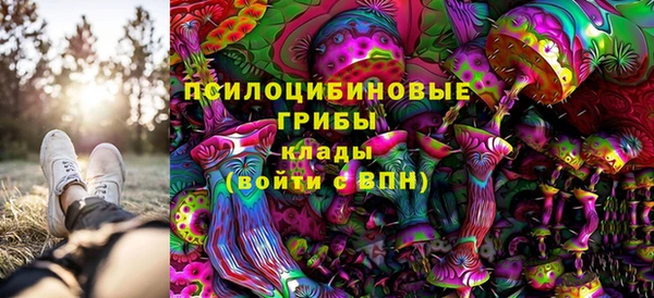 каннабис Белокуриха