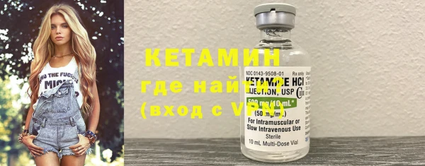 сатива Беломорск