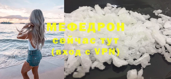 сатива Беломорск