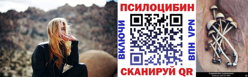 продажа наркотиков  Ворсма  Псилоцибиновые грибы GOLDEN TEACHER 